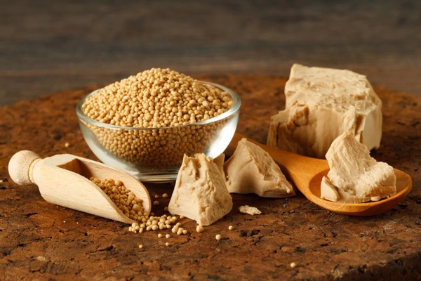 Các giai đoạn trong quá trình lên men bia