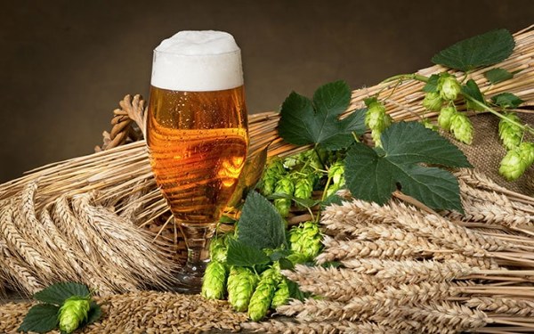 Lựa chọn nguyên liệu tinh túy