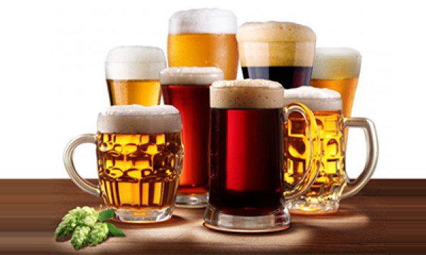 Mô hình đại lý bia cấp 1 là gì?