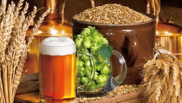 Thành phần dinh dưỡng có trong bia