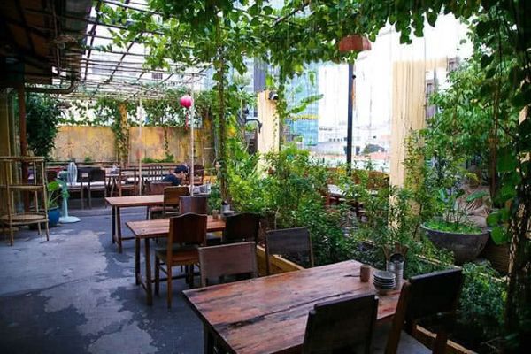 Cây cảnh trang trí tạo điểm nhấn sinh động