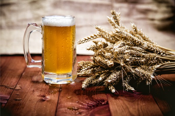 Bia hơi là loại bia lên men nhanh