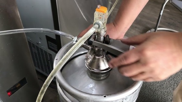 Vệ sinh tủ bảo quản bia đúng cách