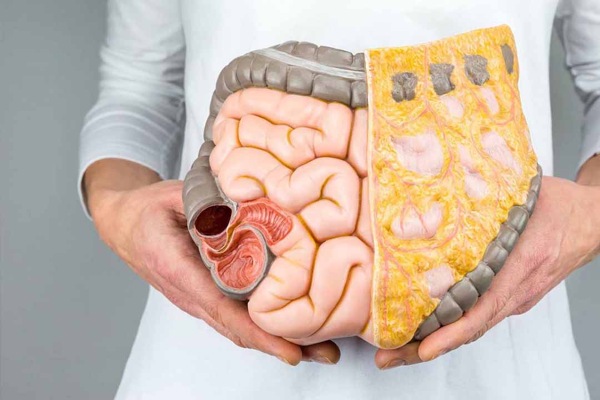 Gây hại nghiêm trọng cho hệ tiêu hóa