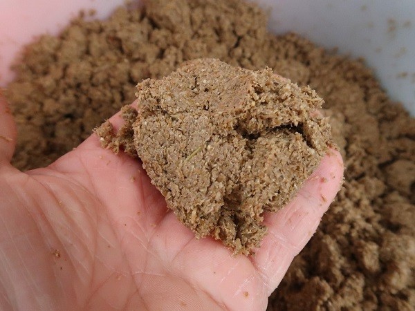 Cách chọn mua bã bia chất lượng