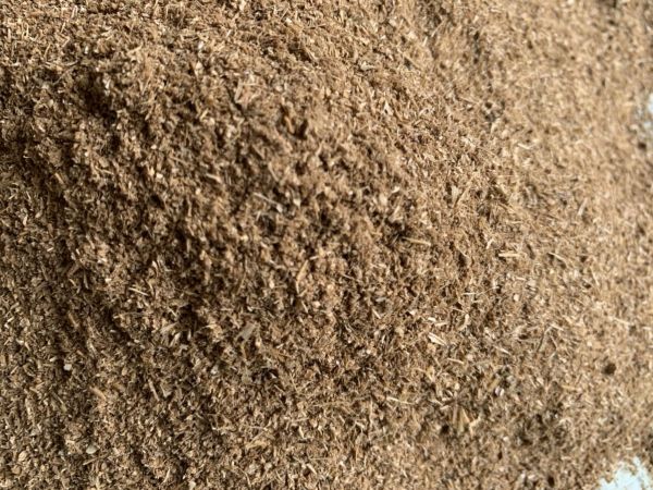 Cập nhật giá bán bã bia tươi trên thị trường hiện nay