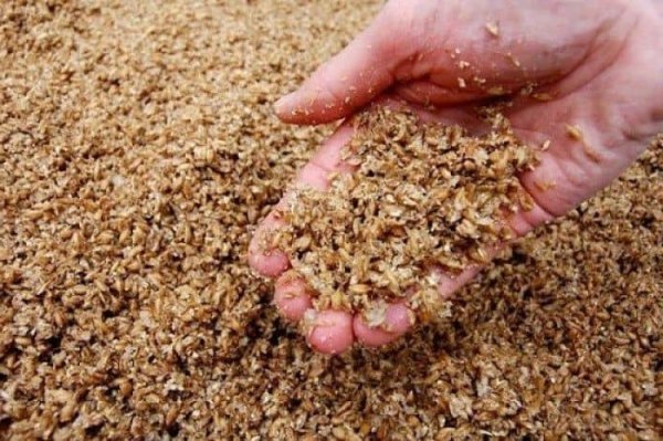 Một số địa chỉ bán bã bia làm thức ăn chăn nuôi