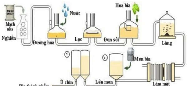 Quy trình sản xuất bia tại nhà máy bia Hà Nội Mê Linh